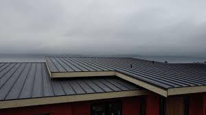 Best Steel Roofing  in Kingston, TN